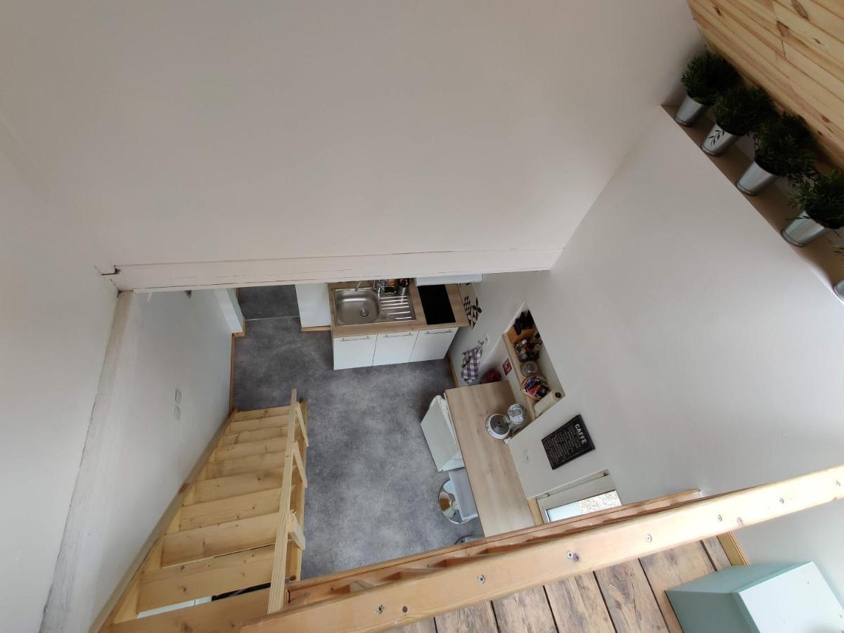 Studio Mezzanine Chez Papou, Ville Et Foret Strasburg Zewnętrze zdjęcie