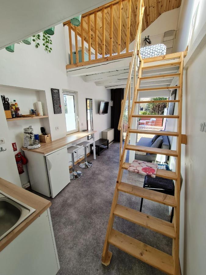 Studio Mezzanine Chez Papou, Ville Et Foret Strasburg Zewnętrze zdjęcie